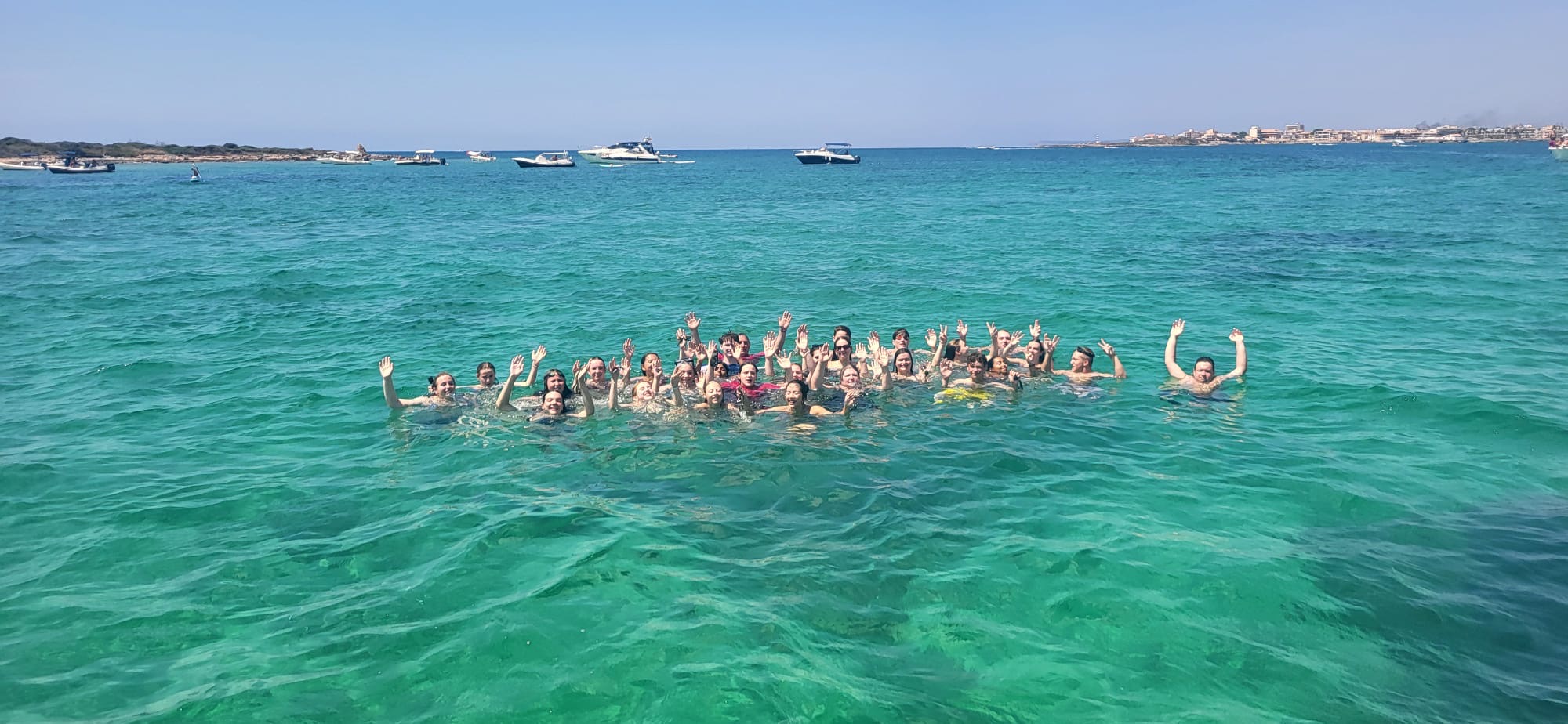 Dunedin Swim Team