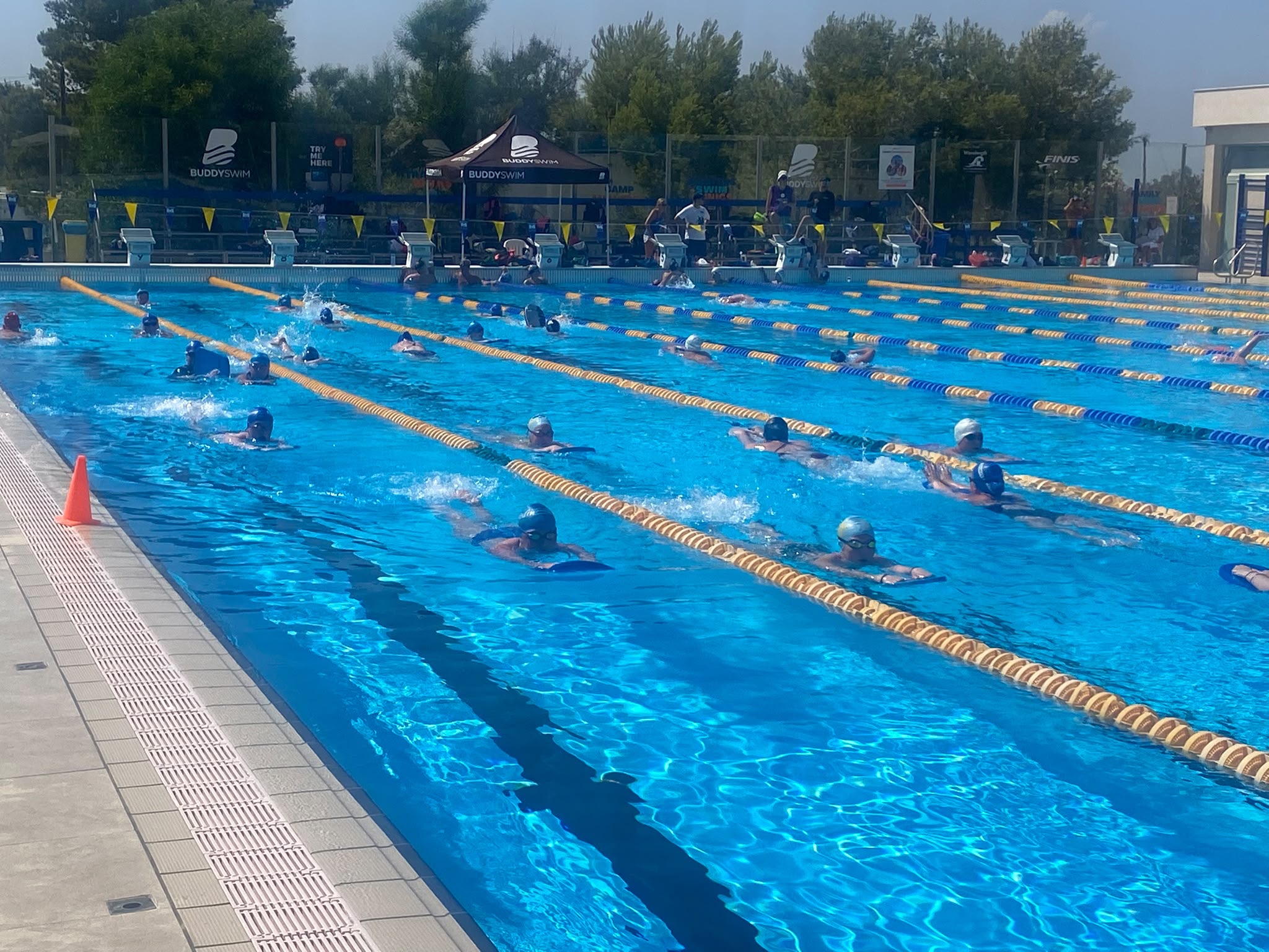 Dunedin Swim Team