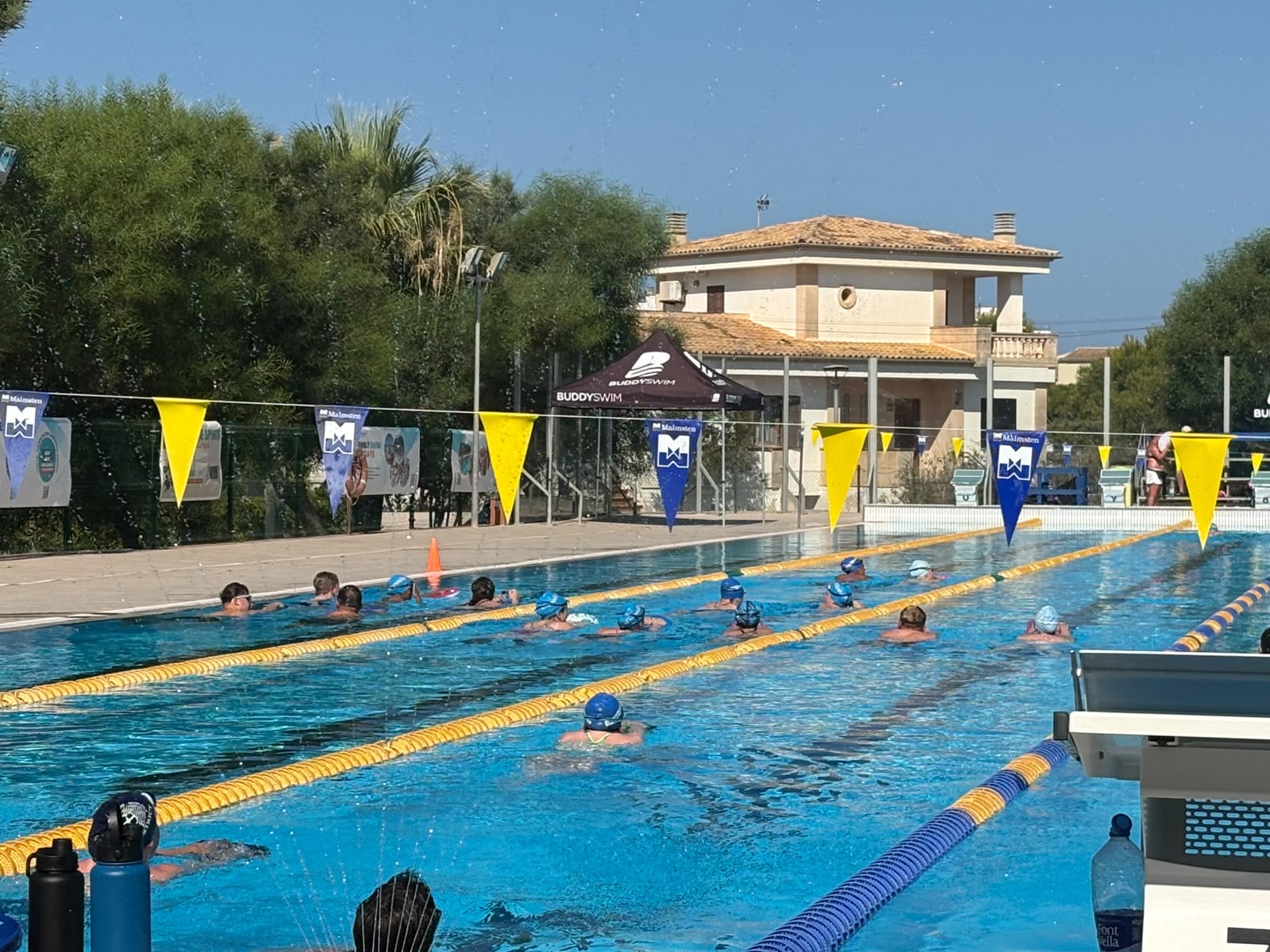 Dunedin Swim Team