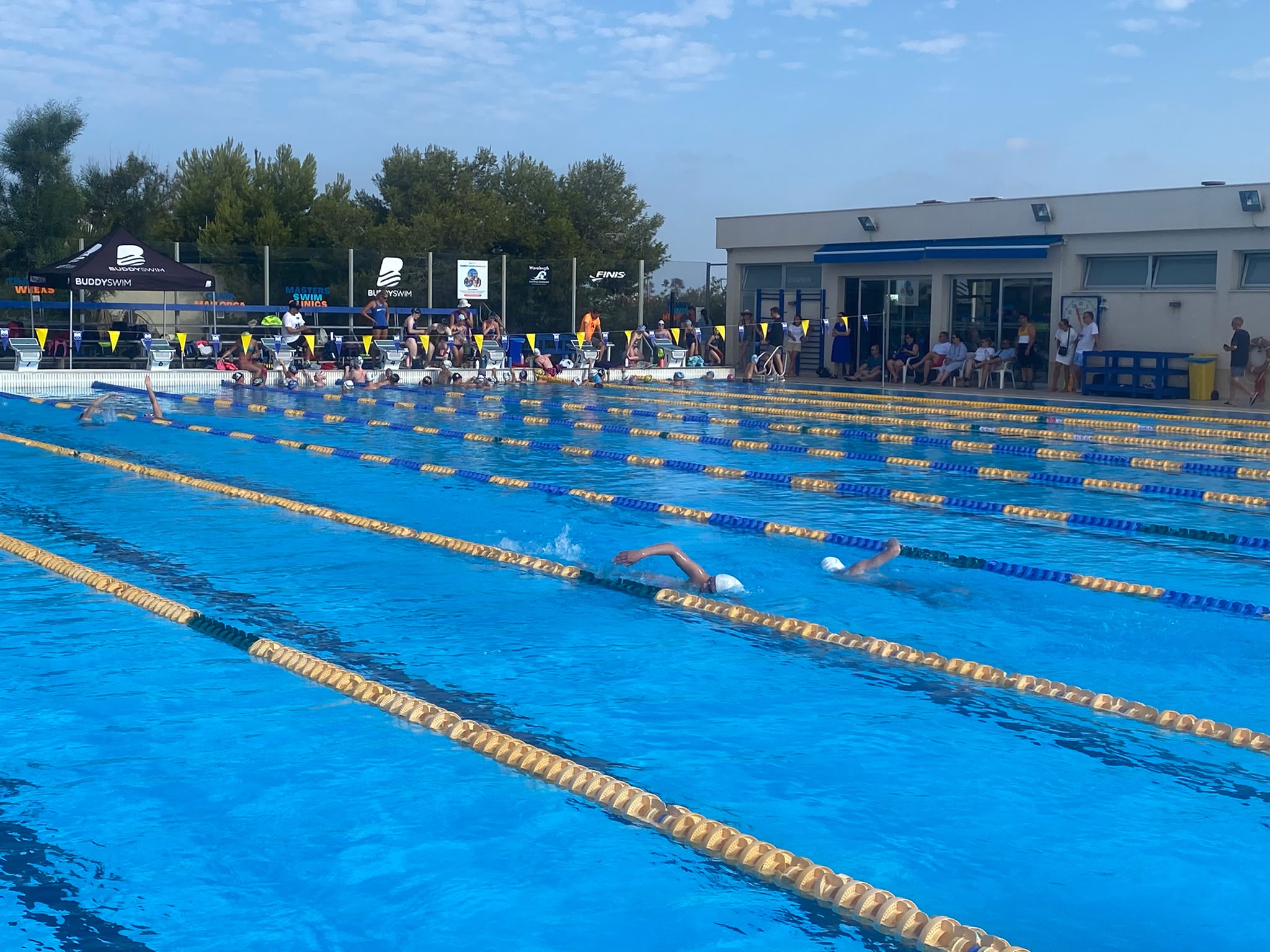 Dunedin Swim Team
